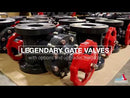 PVC Flanged Gate Valve